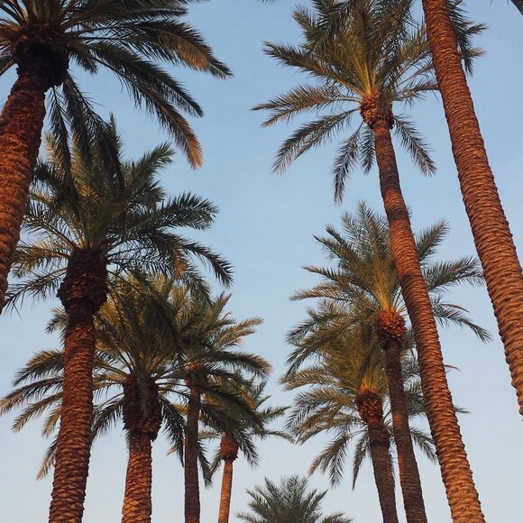 Lane Bryant Beaded V Neck Maxi Dress Size 20 - Picture 11 of 11